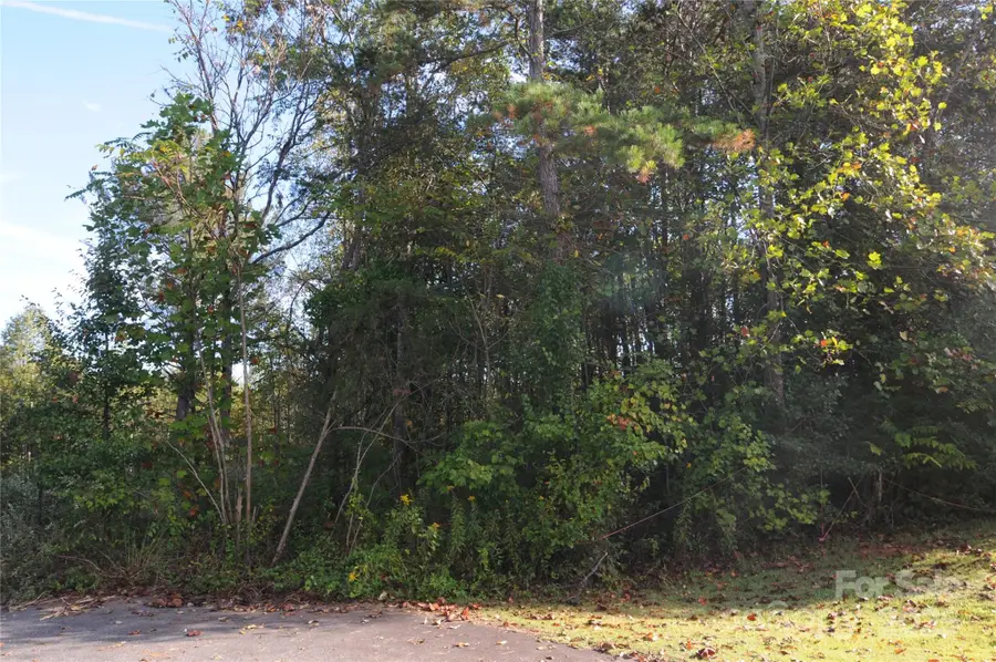 2320 Dobbins Court, Vale, NC 28168 - Image #3