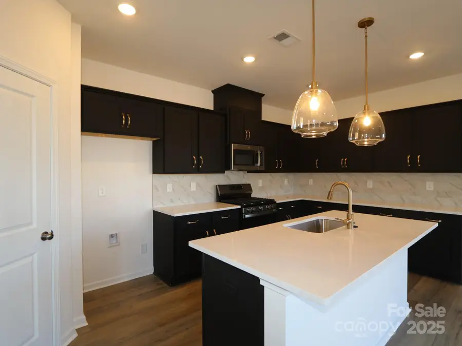 1461 Kate Cecil Way, York, SC 29745 - Image #3