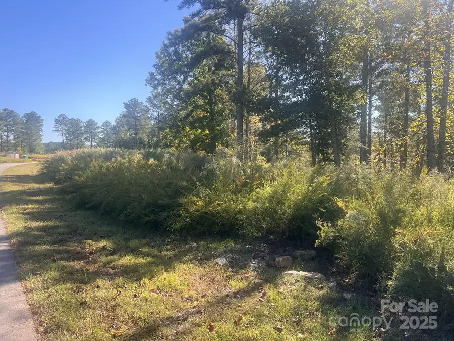 2478 Jumping Run #52, Connelly Springs, NC 28612 - Image #3