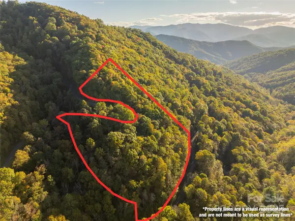 Lot 39 Brush Creek Mountain Road #39, Bryson City, NC 28713