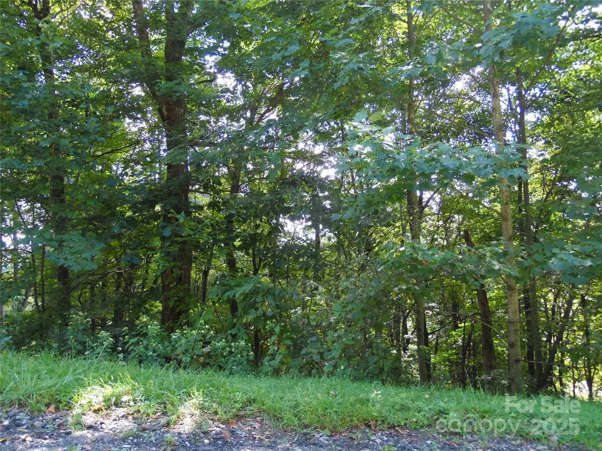 15 Great Sky Drive, Todd, NC 28684 - Image #1