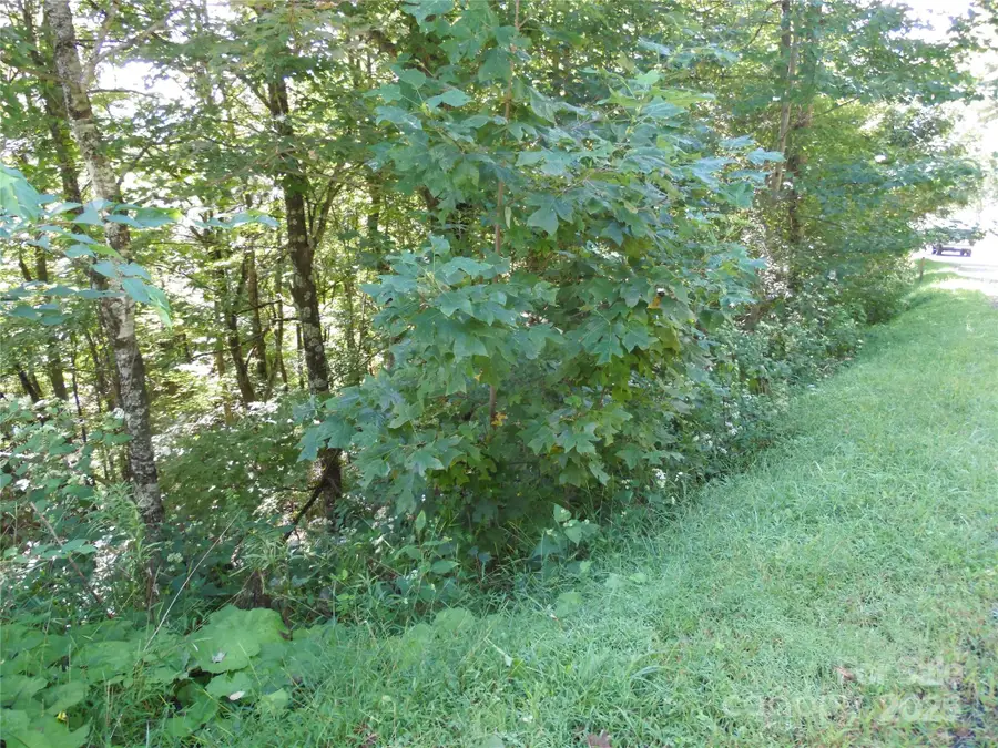 15 Great Sky Drive, Todd, NC 28684 - Image #3