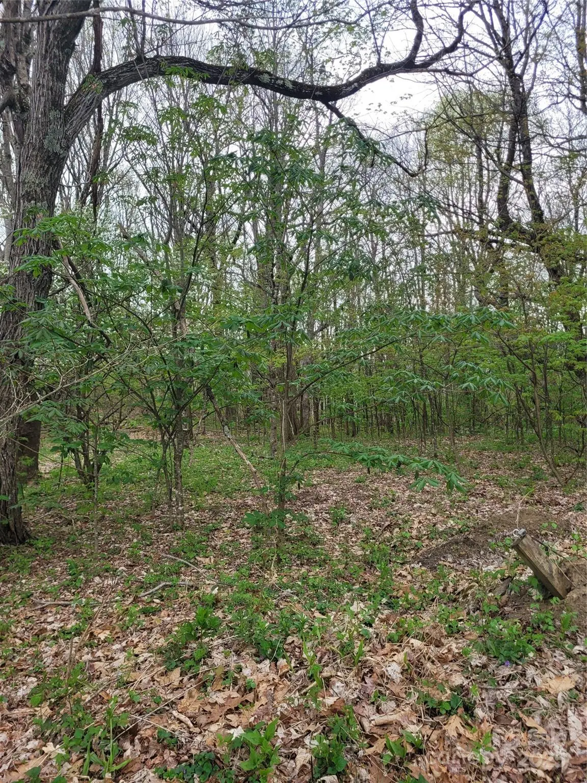 TBD Buena Vista Drive, West Jefferson, NC 28694 - Image #1