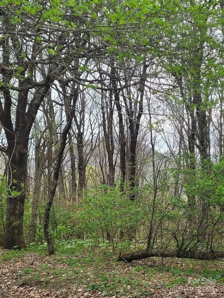 TBD Buena Vista Drive, West Jefferson, NC 28694 - Image #2