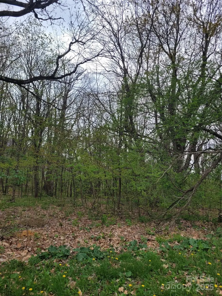 TBD Buena Vista Drive, West Jefferson, NC 28694 - Image #3