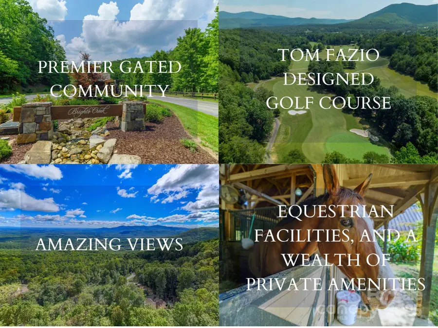 000 Nottingham Drive #237, Mill Spring, NC 28756 - Image #3