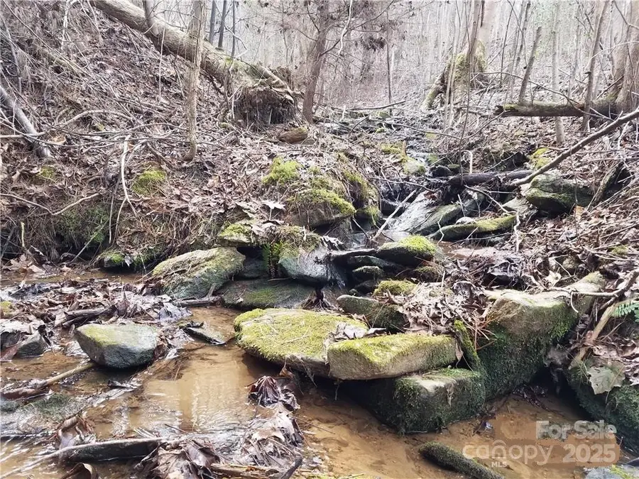 Lot 3 Mount Gilead Church Road #3, Connelly Springs, NC 28612 - Image #3