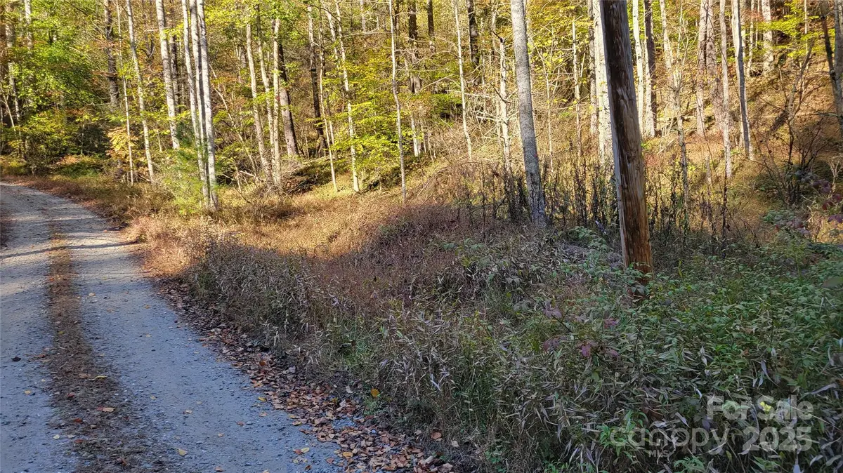 000 Cabin Hill Road, Green Mountain, NC 28740 - Image #1