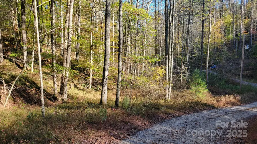 000 Cabin Hill Road, Green Mountain, NC 28740 - Image #2