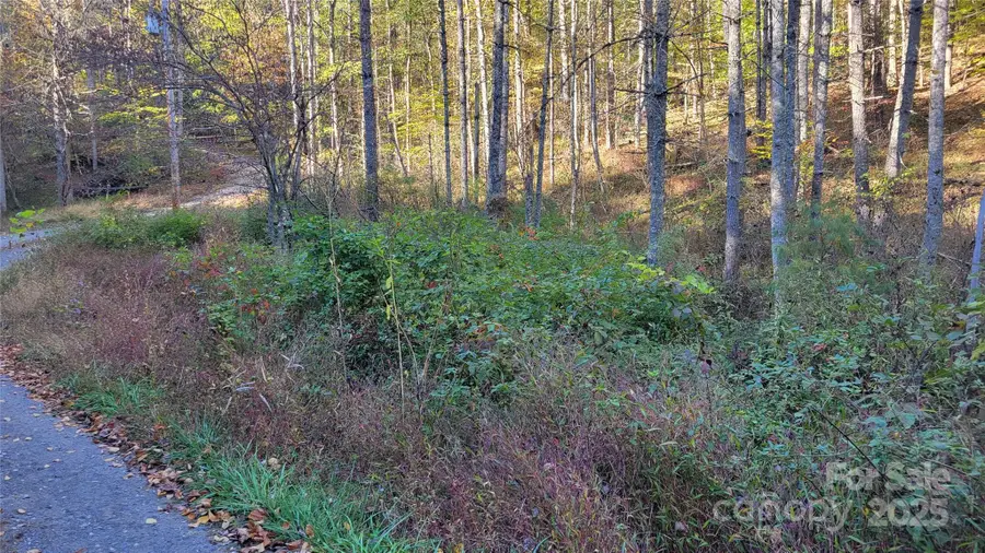 000 Cabin Hill Road, Green Mountain, NC 28740 - Image #3