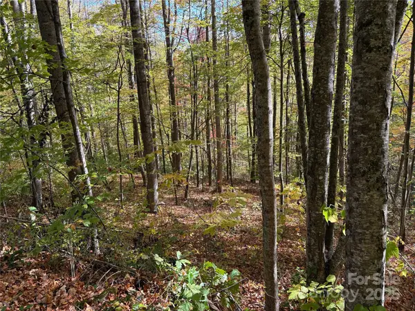 28 Cadillac Pointe, Waynesville, NC 28785