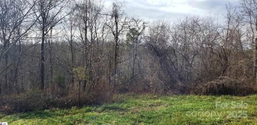 00 Lockhart Circle, Landrum, SC 29356 - Image #3