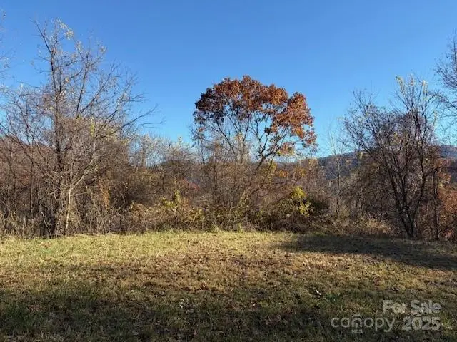 Lot 4 March Hillside Court, Waynesville, NC 28785 - Image #3