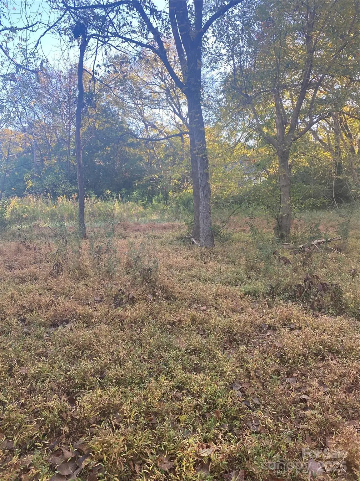 439 South Avenue, Lancaster, SC 29720 - Image #1