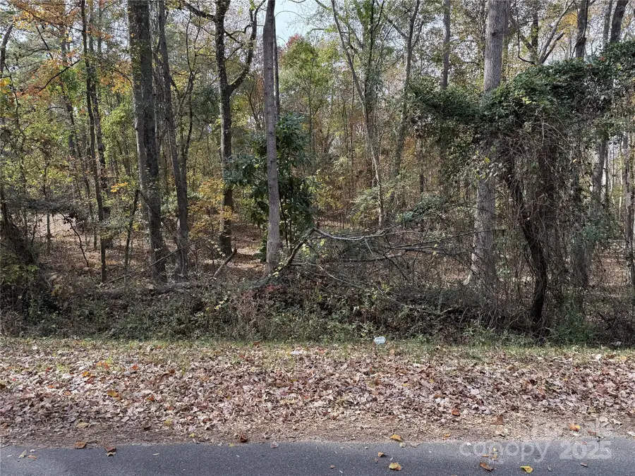 00 Tanglewood Lane, Great Falls, SC 29055 - Image #3