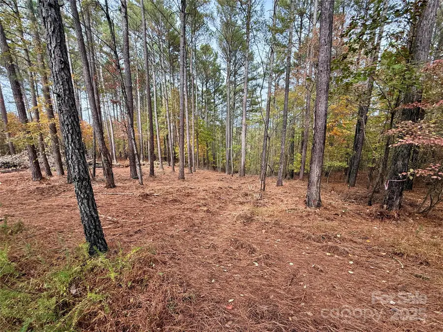 5220 Port Lane #208, Granite Falls, NC 28630 - Image #3