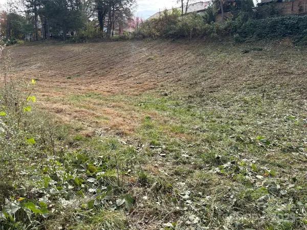 119, 123, 127 Randolph Avenue, Black Mountain, NC 28711