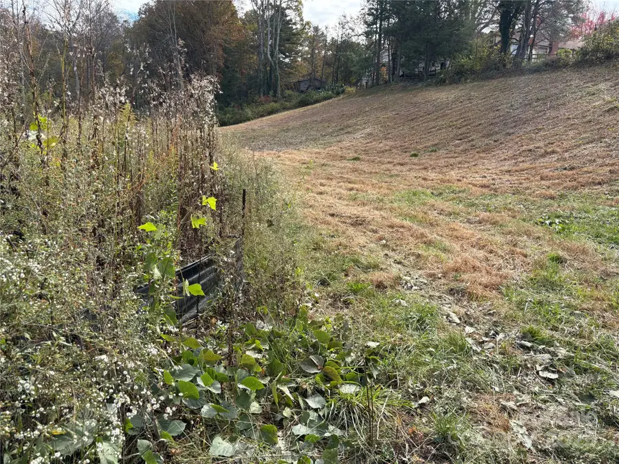 119, 123, 127 Randolph Avenue, Black Mountain, NC 28711 - Image #2