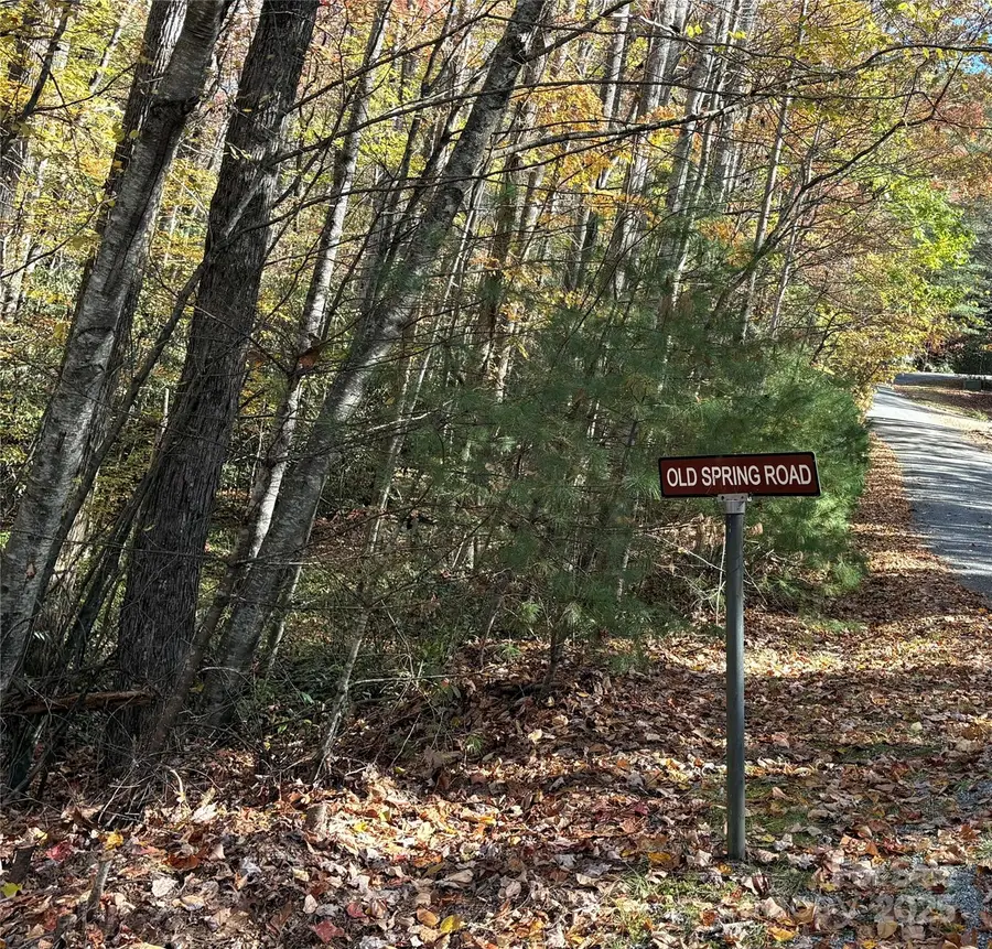 999 Old Spring Road, Brevard, NC 28712 - Image #3