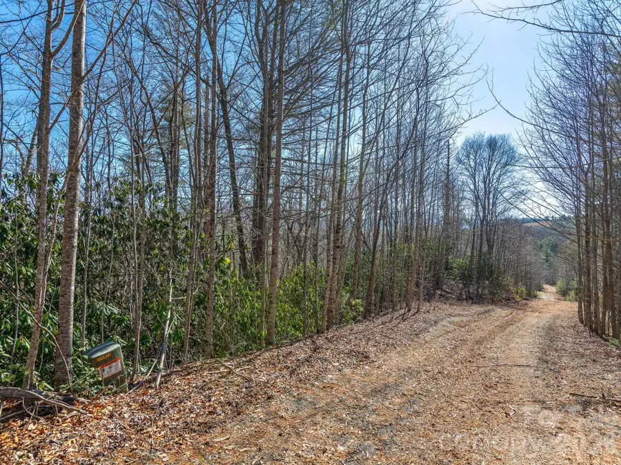 99999 Toe River Lane, Newland, NC 28657 - #2