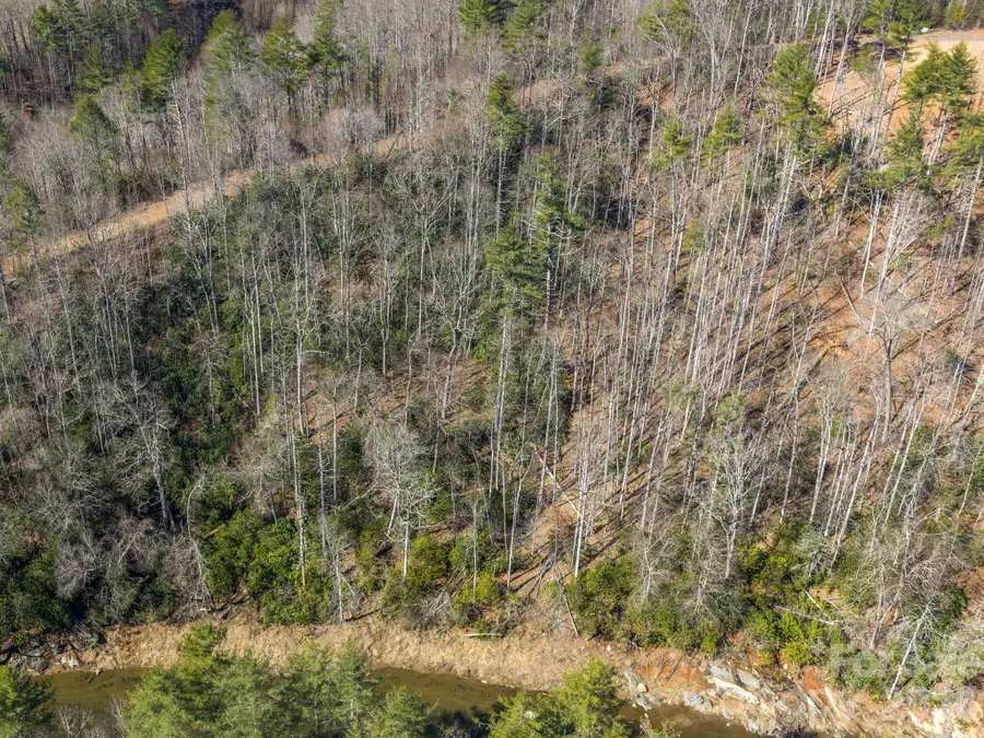 99999 Toe River Lane, Newland, NC 28657 - #3