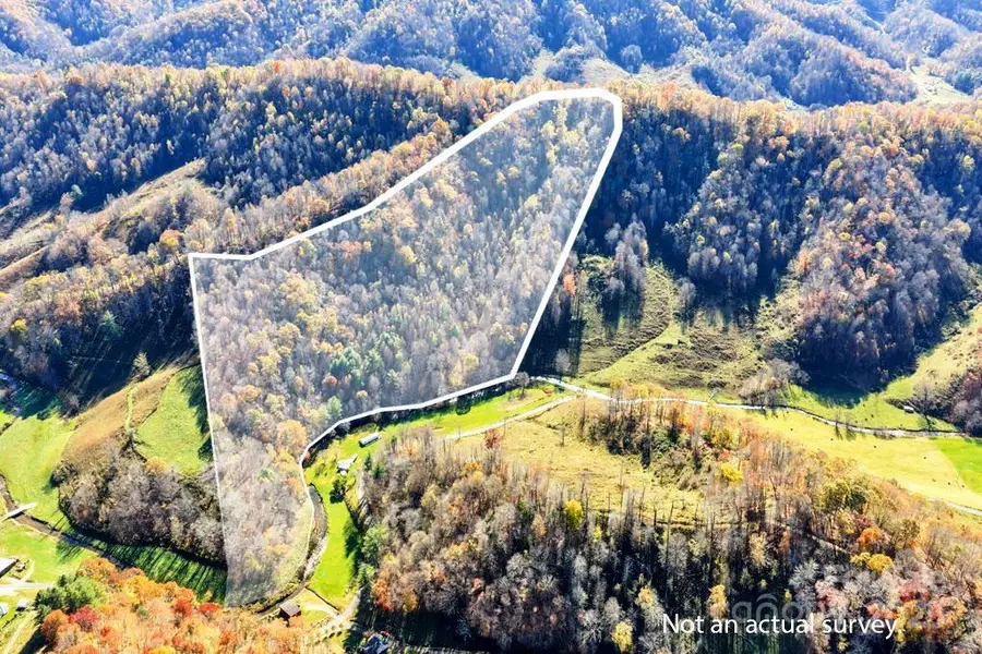 tbd E Little Horse Creek Road, Lansing, NC 28643 - #2