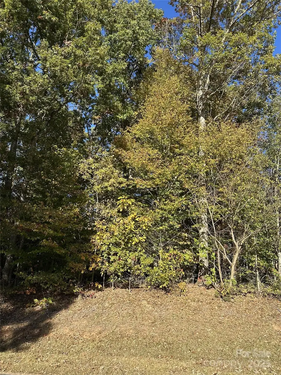 Lot Amesbury Drive, Mount Ulla, NC 28125 - Image #2