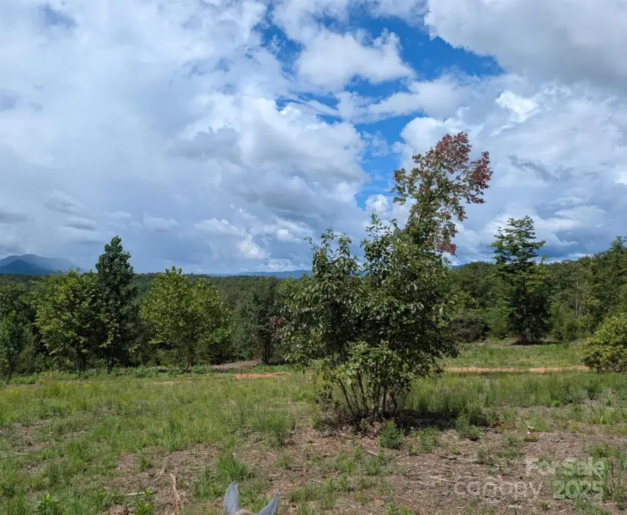 Lot #2 Price Summit Way, Mill Spring, NC 28756 - Image #2