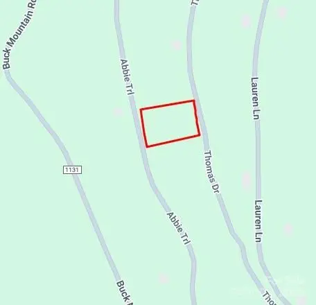 0000 Abbie Trail, West Jefferson, NC 28694 - Image #3