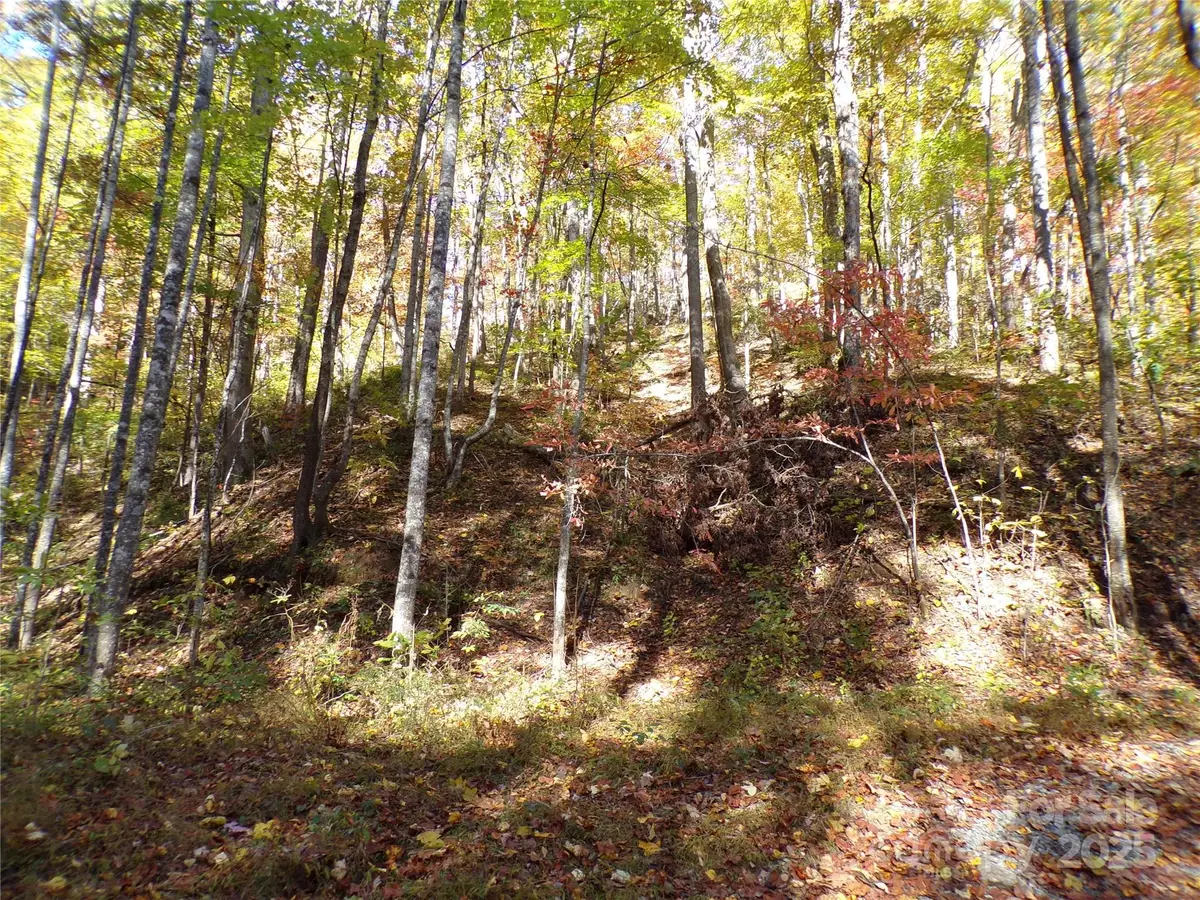 0 High Windy Drive #Lot 388, Lake Lure, NC 28746 - Image #1