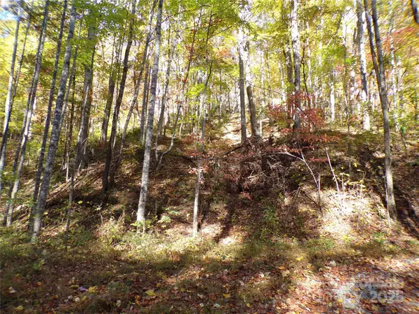 0 High Windy Drive #Lot 388, Lake Lure, NC 28746