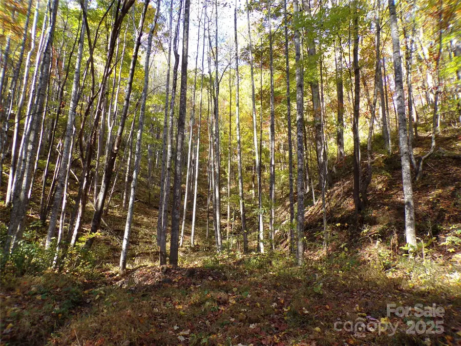 0 High Windy Drive #Lot 388, Lake Lure, NC 28746 - Image #2