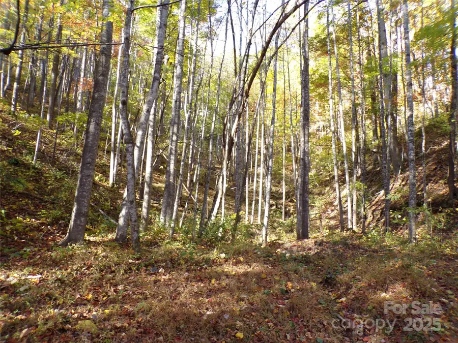 0 High Windy Drive #Lot 388, Lake Lure, NC 28746 - Image #3