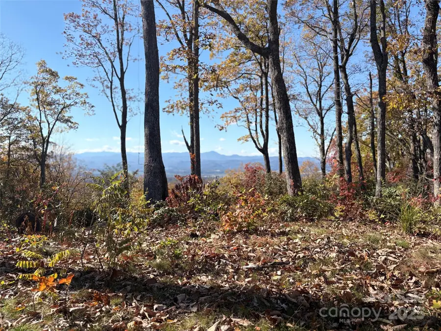 Lot 64 Feather Stone Drive, Fletcher, NC 28732 - Image #2