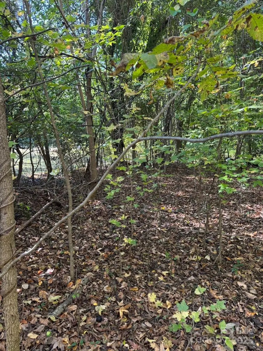 307 Steele Street, Fort Mill, SC 29715 - Image #3