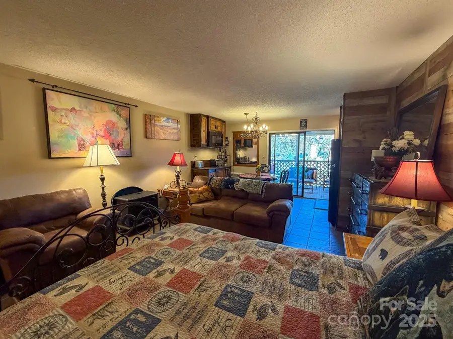 160 Whitney Boulevard #52, Lake Lure, NC 28746 - Image #3