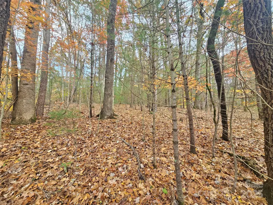 V/L Warlick Chapel Road, Connelly Springs, NC 28612 - Image #2