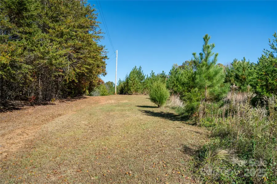 523 Mcdade Road, Tryon, NC 28782 - Image #3