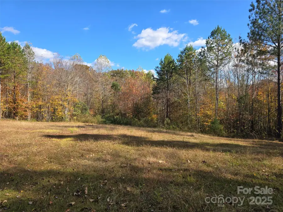 856 Horseshoe Bend Road, Troy, NC 27371 - Image #2