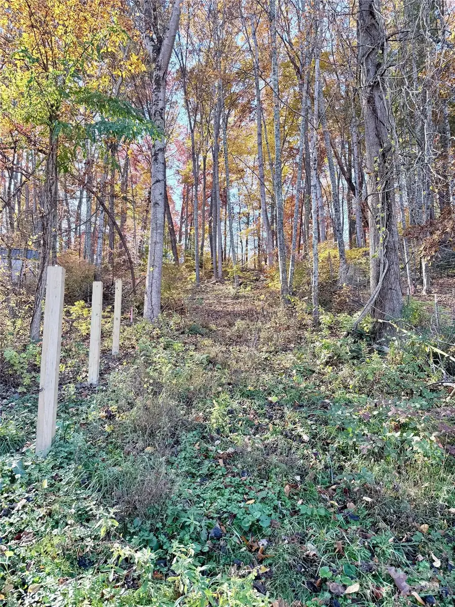 99999 Dix Creek No 1 Road, Leicester, NC 28748 - Image #3