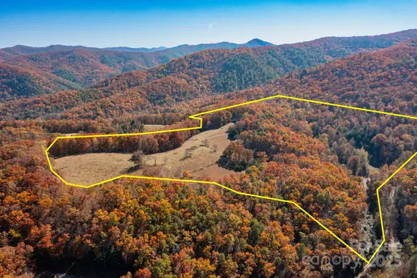 671 Island Hollow Road, Hot Springs, NC 28743