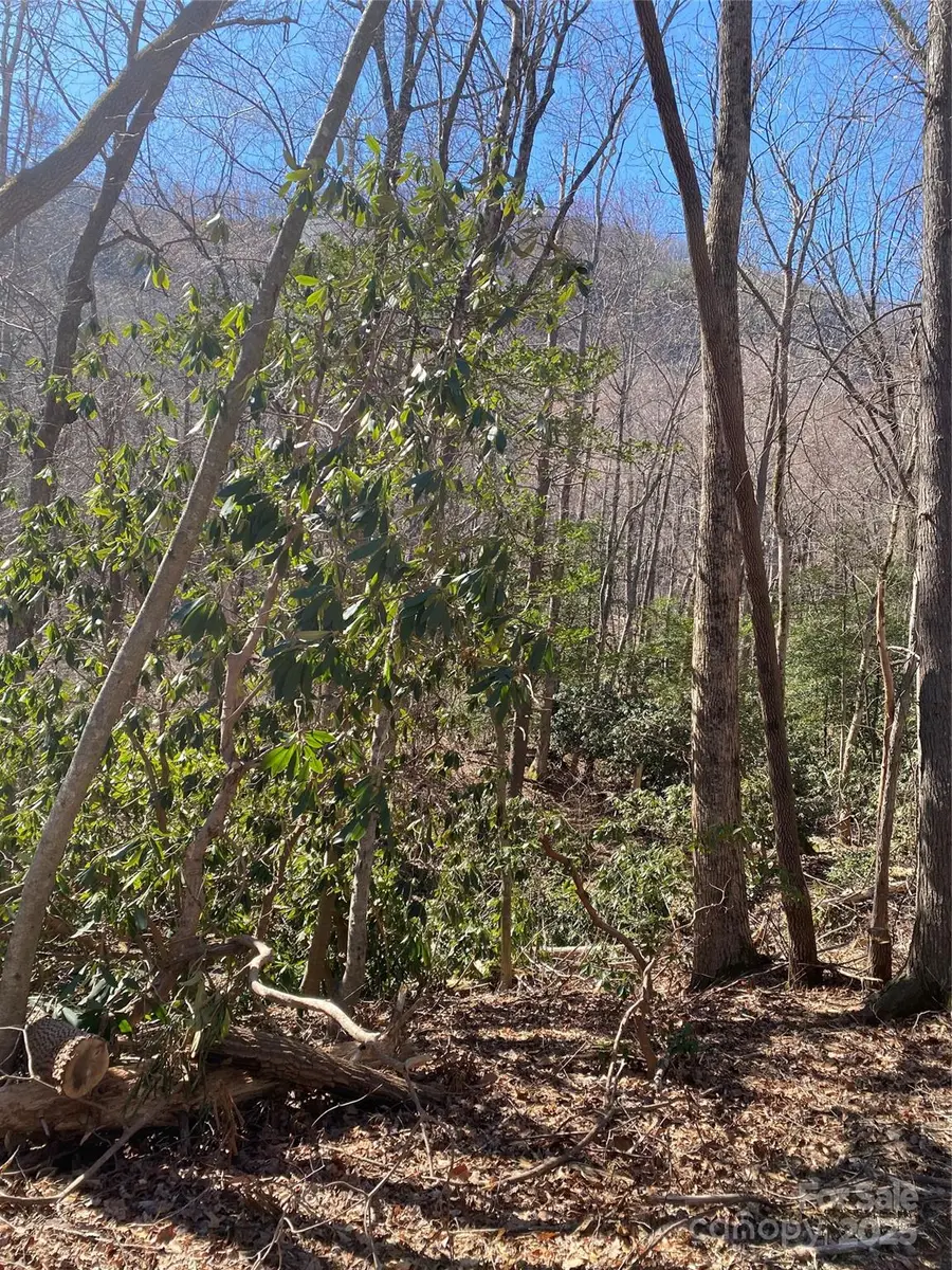 0000 Raleigh Drive #8 & 9, Chimney Rock, NC 28761 - Image #3