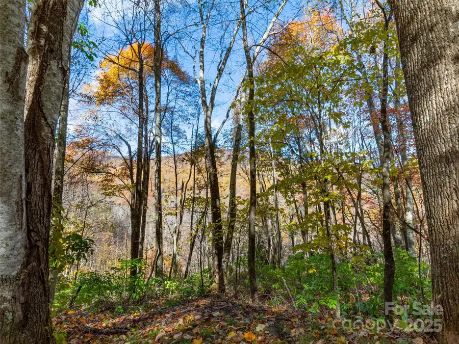 00 Village Lane #Lot 1, Waynesville, NC 28786 - Image #2