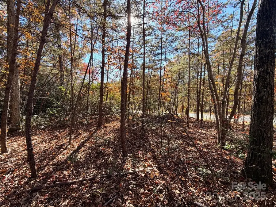 000 Antioch Road, Lake Lure, NC 28746 - Image #3