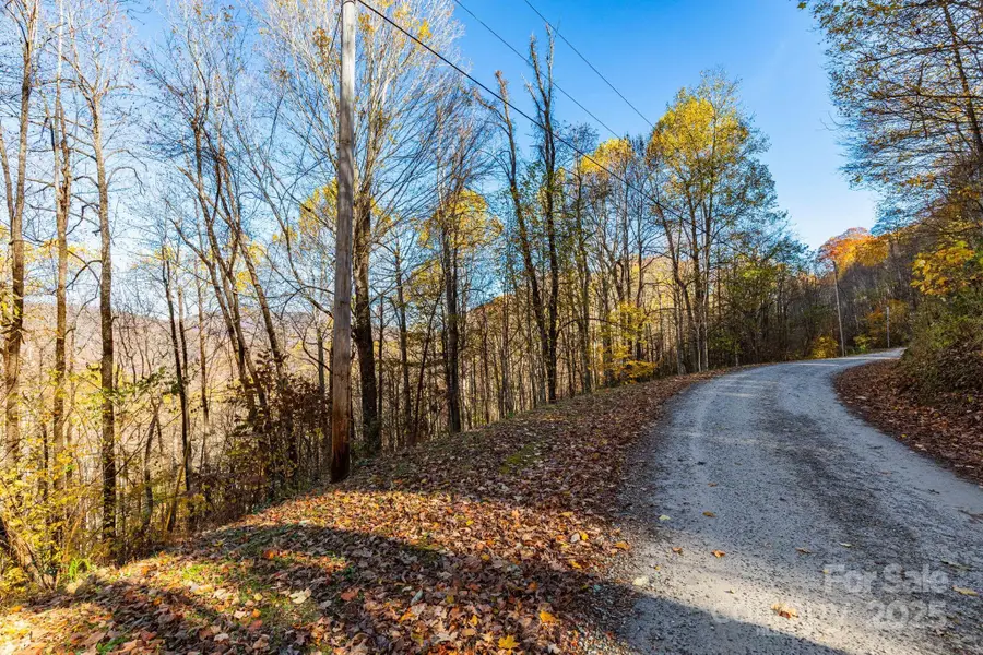 TBD Appaloosa Trail, Waynesville, NC 28785 - Image #2