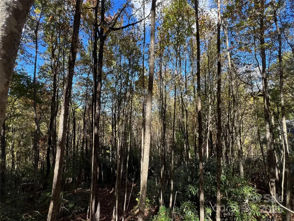 0 Wild Magnolia Way #46, Zirconia, NC 28790 - Image #1