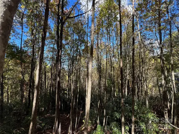 0 Wild Magnolia Way #46, Zirconia, NC 28790