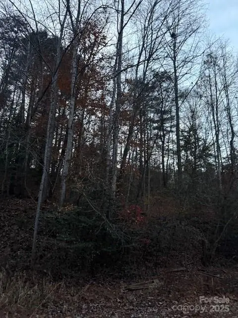 0 Relaxation Place, Lenoir, NC 28645