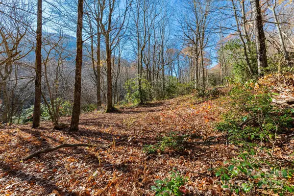 Lot Huckleberry Drive #24, Maggie Valley, NC 28751