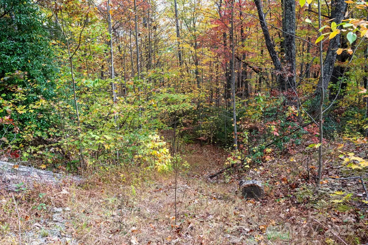 4B Lower Flat Creek Road, Black Mountain, NC 28711 - Image #1